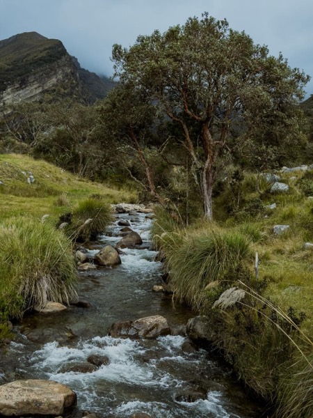 Páramo del Cocuy