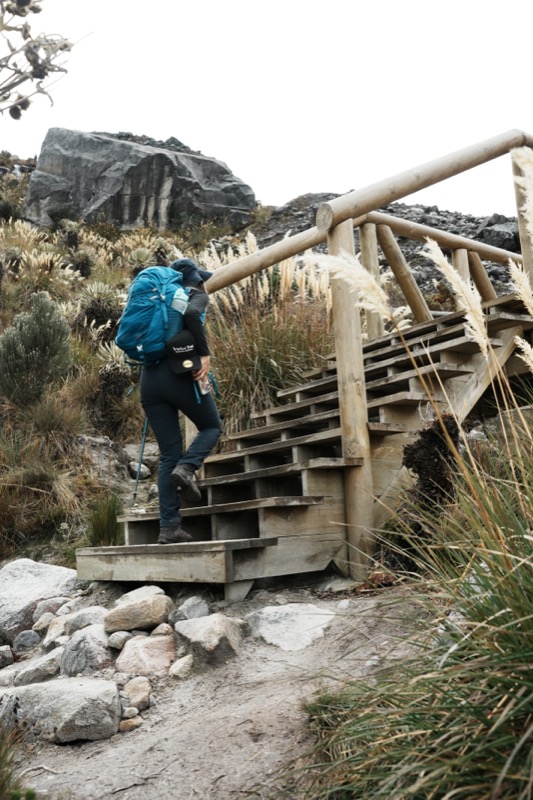 Sendero al glaciar